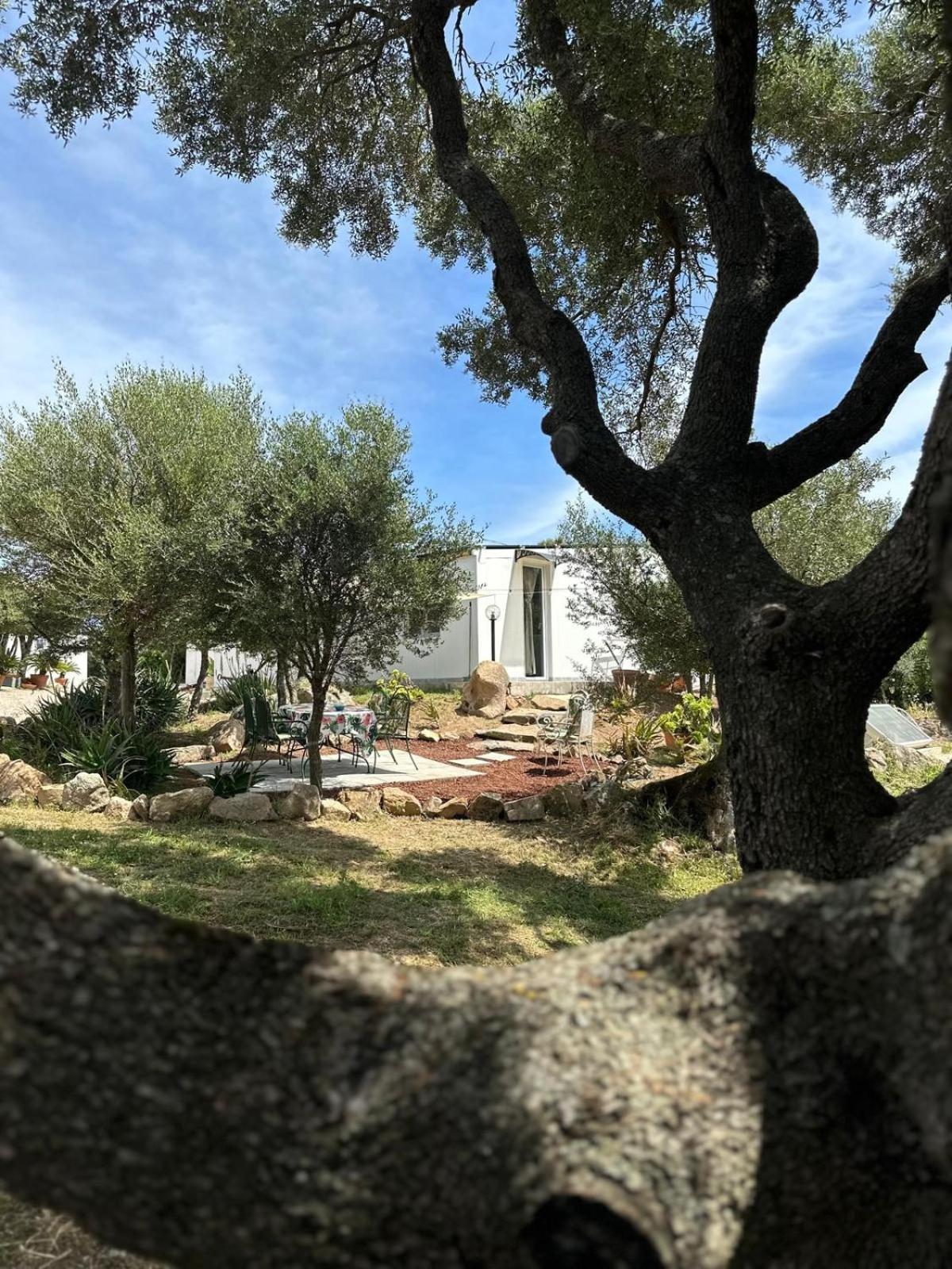 Casa Mariposa Porto Rotondo Villa Rudalza Exteriör bild